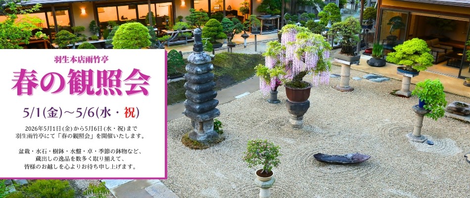 2026春の鑑賞会_HPバナー