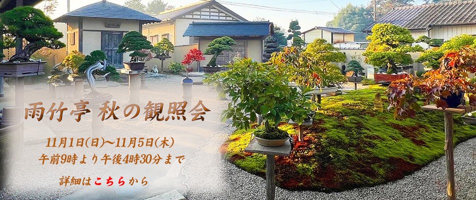 秋の観照会_バナー_HP